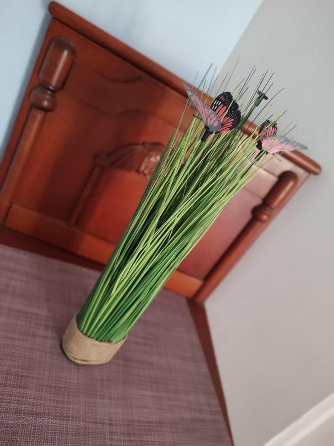 데포리노드 Casa Victor 아파트 외부 사진